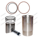 Поршнекомплект &Oslash; 106.50 MM двигуна JOHN DEERE 6359 3029 3164 3179 4239 4219 6059 4045 RE18697 RE21408 фото 1