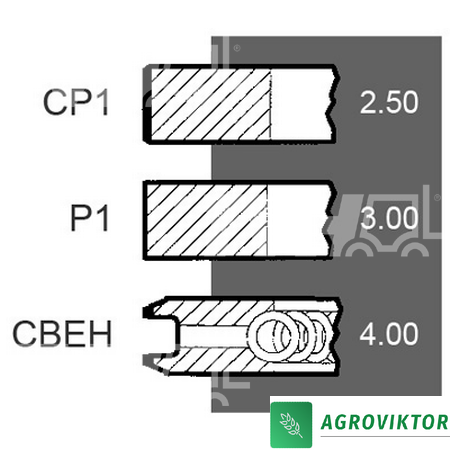 Кільця поршневі 100мм двигуна Valmet Sisu 309 310 41/34-300 836539010 фото