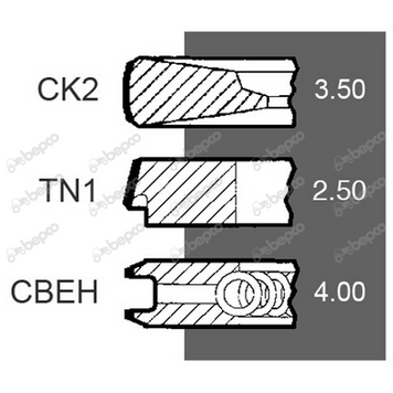 Кольця поршневые &Oslash; 100 MM двигателя Perkins 1006.60T 1004.4T 1004.40T A4.248 1006.6 1006.6T 30/34-108 3641316M91 фото