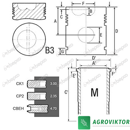 3218461R95 Поршнекомплект &Oslash;100мм двигателя CASE I.H. D246 D268 25/31-67 32118461R95 фото
