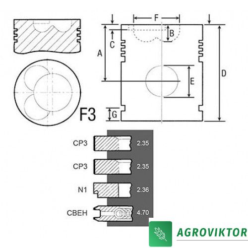 Поршень з кільцями двигуна Ford 2701E 2704E 2706E 2709E 2713E 24/32-115 фото